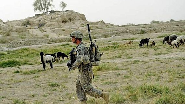 Companies compete for Marine counter-IED systems