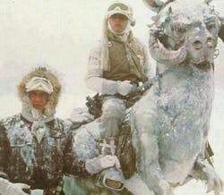 Notes from ground-zero of the Great Northeast Blizzard of 2015 Notes from ground-zero of the Great Northeast Blizzard of 2015