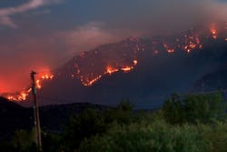 Osmose Wildfire Osmose Wildfire