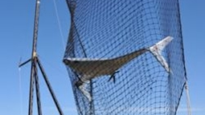 Pennwell web 251 420