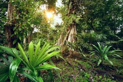 Shutterstock Guatemala Shutterstock Guatemala