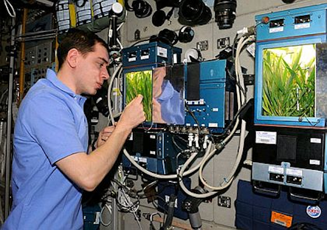 Space Garden 3 April 2013