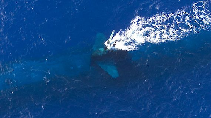 Navy asks Lockheed Martin to refresh submarine sonar technology in $20.5 million order