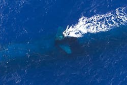 Navy asks Lockheed Martin to refresh submarine sonar technology in $20.5 million order