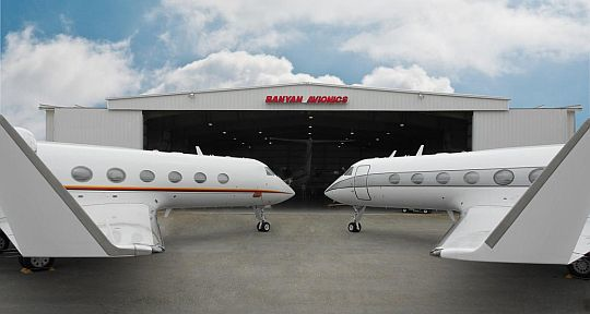 Content Dam Avi Online Articles 2012 05 Banyan 16 May 2012