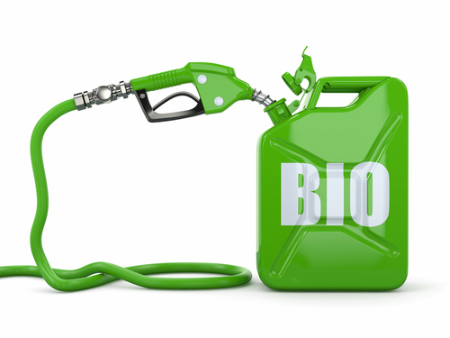 Content Dam Avi Online Articles 2012 11 Shutterstock Biofuel