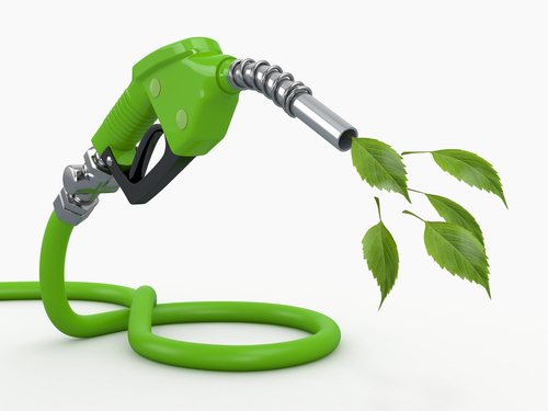 Content Dam Avi Online Articles 2012 11 Shutterstock Biofuel1
