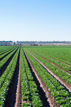 Content Dam Avi Online Articles 2013 04 Shutterstock Agriculture Content Dam Avi Online Articles 2013 04 Shutterstock Agriculture