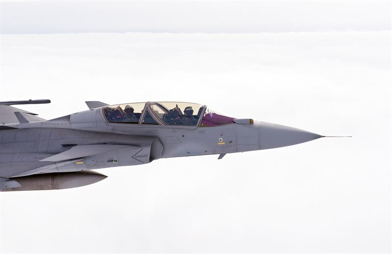 Content Dam Avi Online Articles 2014 04 Gripene