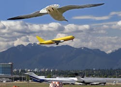 Content Dam Avi Online Articles 2014 12 Shutterstock Plane Bird Content Dam Avi Online Articles 2014 12 Shutterstock Plane Bird