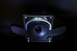 Content Dam Avi Online Articles 2015 July Asu Owls Content Dam Avi Online Articles 2015 July Asu Owls