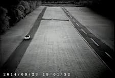 Owls Pic 1 Owls Pic 1