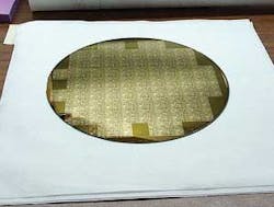 Th 0506mae Techfocus02 Th 0506mae Techfocus02