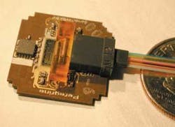 Th 0601mae N Peregrine01 Th 0601mae N Peregrine01