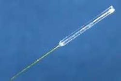 Th 0601maesuppprod12 Th 0601maesuppprod12