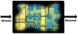 Th 0603mae Opinion01