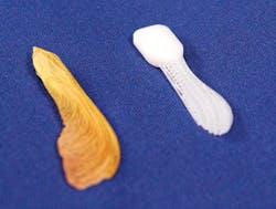 Th 0707maesupp Feat05 Th 0707maesupp Feat05