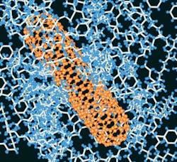 Th 0806mae News04 Th 0806mae News04