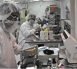 Th 1 Mems Sp33 Th 1 Mems Sp33