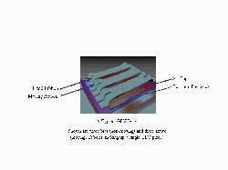 Th Mae66945 65 Th Mae66945 65