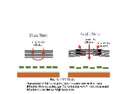 Th Mae66945 68 Th Mae66945 68