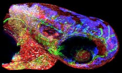 By Mil & Aero staff By Mil & Aero staff