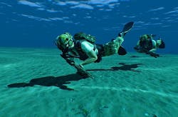 Researchers ask industry for harbor and port security technologies to detect and track swimmers and divers Researchers ask industry for harbor and port security technologies to detect and track swimmers and divers