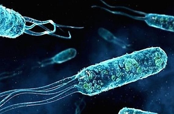 The U.S. military is using genetic engineering to alter life forms to detect enemy submarines