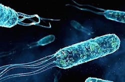 The U.S. military is using genetic engineering to alter life forms to detect enemy submarines The U.S. military is using genetic engineering to alter life forms to detect enemy submarines