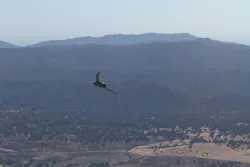 Fury 1500 UAS Fury 1500 UAS