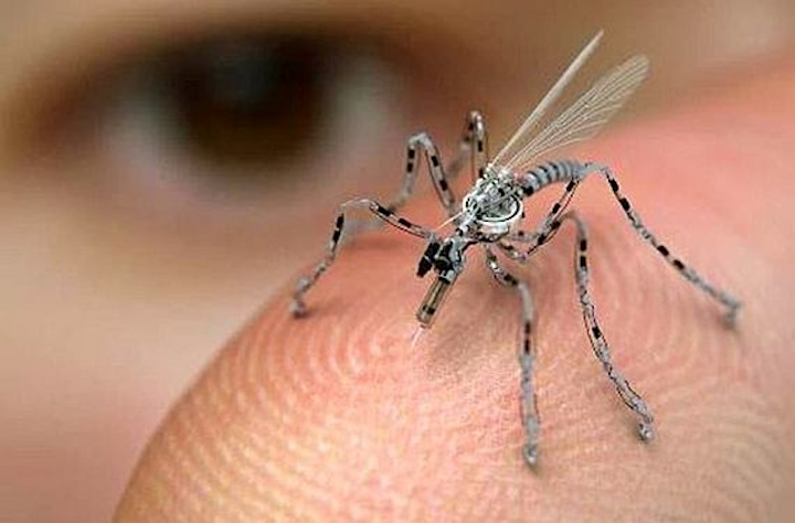 Darpa Chooses Two To Develop Insect Size Robots For Complex Jobs Like Disaster Relief And Hazardous Inspection Military Aerospace Electronics