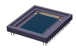 Content Dam Avi Online Articles 2019 04 Cis120lo Res Content Dam Avi Online Articles 2019 04 Cis120lo Res