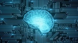 Photon Microchip 21 May 2019 5ce2ec3f7130e Photon Microchip 21 May 2019 5ce2ec3f7130e