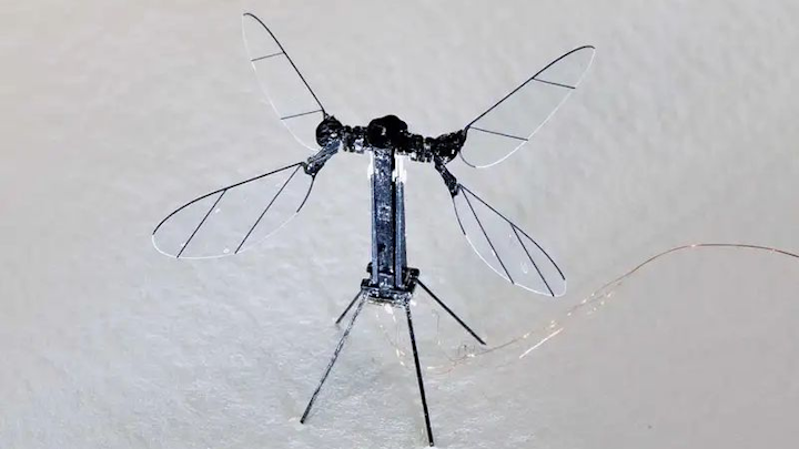 Tiny Drone 1 July 2019
