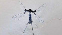 Tiny Drone 1 July 2019 5d164acf1fe50 Tiny Drone 1 July 2019 5d164acf1fe50