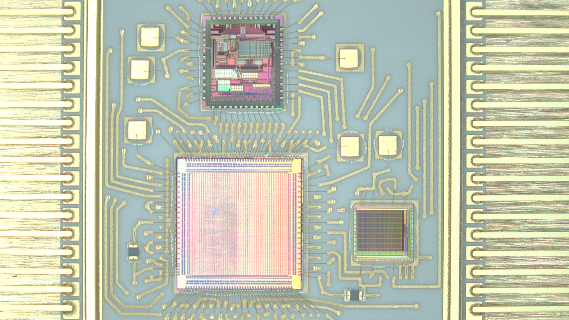 Vorago Sip Pic 5d3b125e9edf1