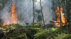 Forest Fire Fire Smoke Conservation 51951