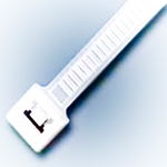 Shared User Pr04c782fd3bd64d5392359243a1a372ab