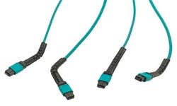 FexiBend™ MPO/MTP* Flexible-Boot Cable Assemblies FexiBend™ MPO/MTP* Flexible-Boot Cable Assemblies