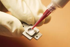 Shared User Prdecabfc8cd274af7a1f05c2e31cb1ed7