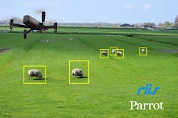 Parrot X Riis 5e46d6a7b112c Parrot X Riis 5e46d6a7b112c