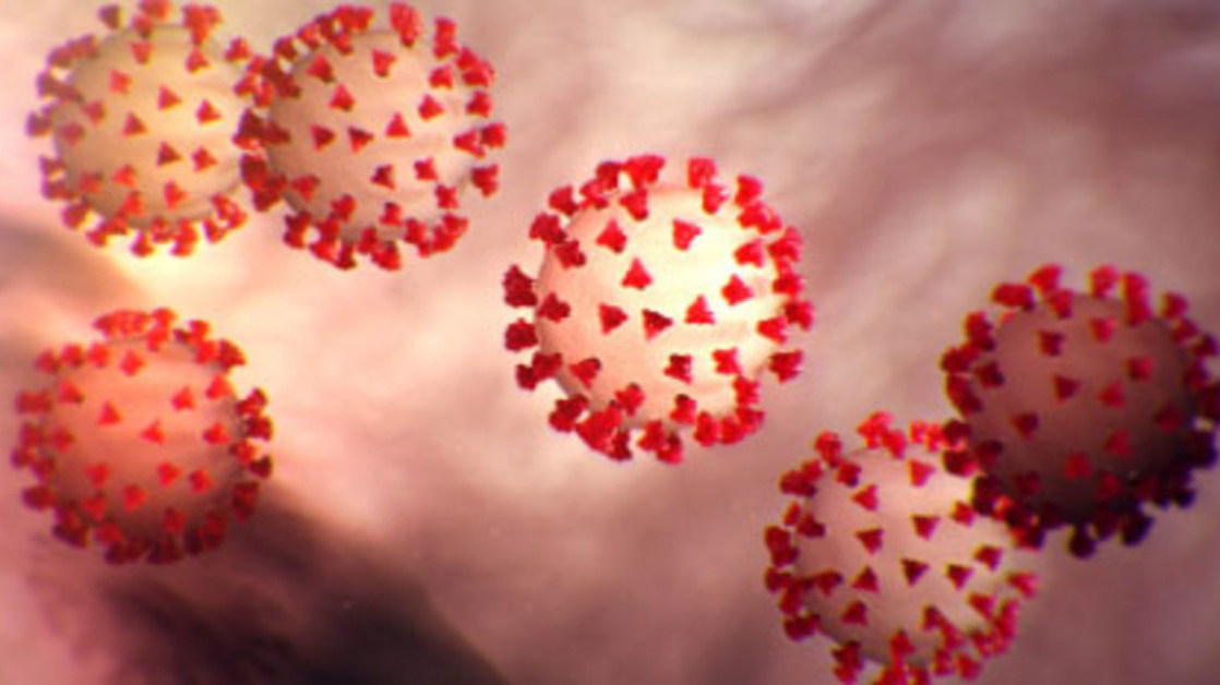 Coronavirus 23 March 2020 5e78e0ad0310d