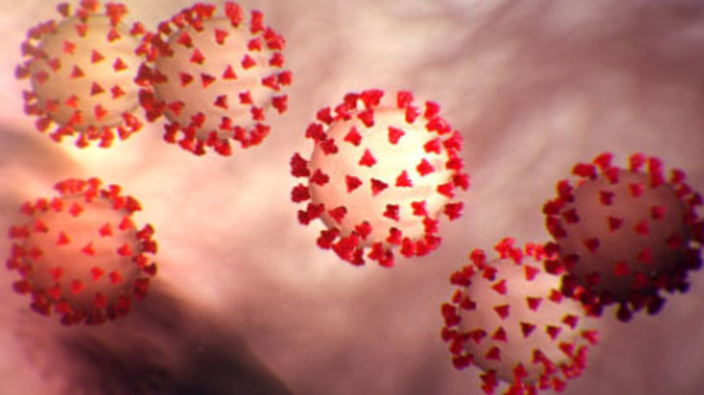 Coronavirus 23 March 2020 5e78e0ad0310d 5e7912b6ae558