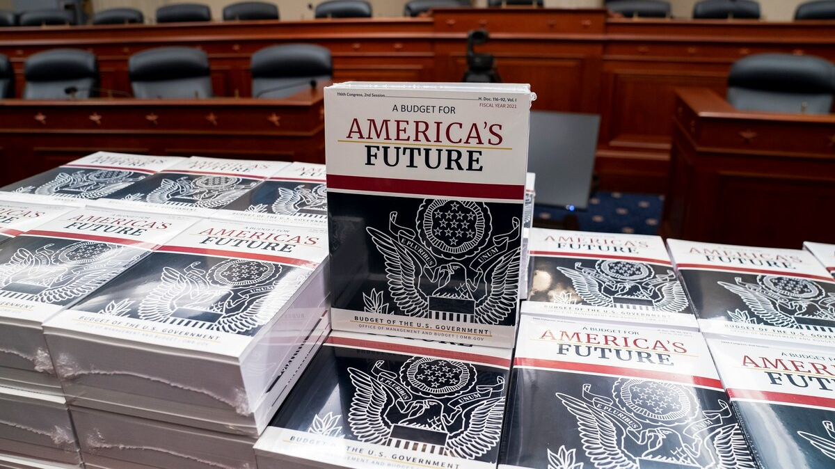 Dod Budget 8 April 2020 5e8cbe1435a5c