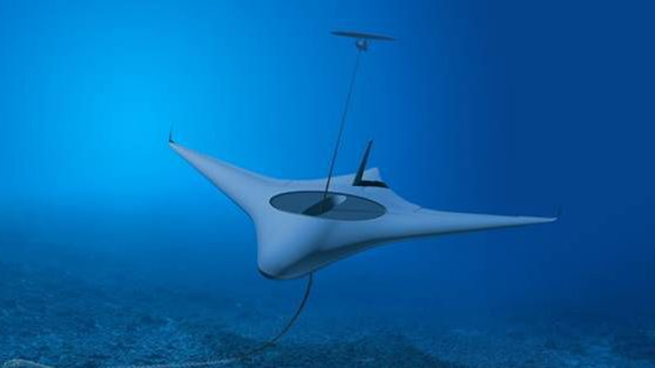Manta Ray 1 April 2020