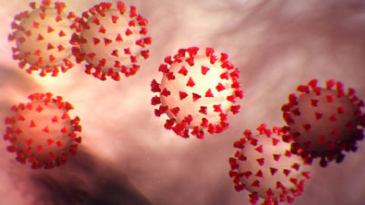 Coronavirus 23 March 2020 5e78e0ad0310d 5e78e4401df7f 5ea87cb7f3697