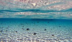 Ocean Of Things 2 April 2020 5e84df345f8b6 Ocean Of Things 2 April 2020 5e84df345f8b6