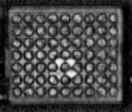 Figure 2: the VRM image of a tiny flip chip that later failed.