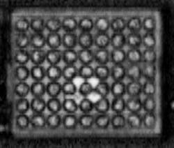 Figure 2: the VRM image of a tiny flip chip that later failed.