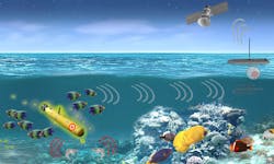 Infowar Research 3 Dec 2020 5fc7db3870668 Infowar Research 3 Dec 2020 5fc7db3870668